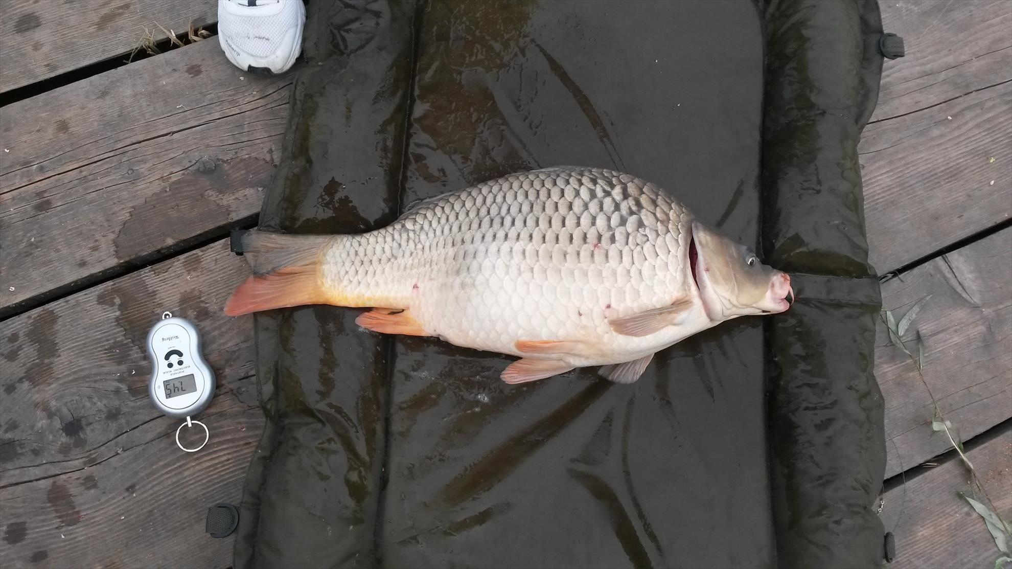 Magura 9 5 - 6 sep. - 20140906075836.jpg